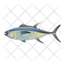 Tuna Fish Icon