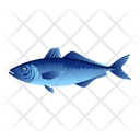 Tunny Fish Icon