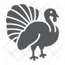 Turkey Bird Animal Icon