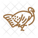 Turkey Bird Icon
