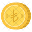 Turkish Lira  Icon