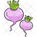 Vegetable Food Turnip Icon