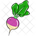 Turnip Vegetable Food Icon