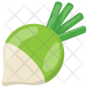Turnip Vegetable Root Icon