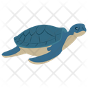 Tortoise Turtle Terrapin Icon