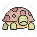 Turtle Animal Pet Icon