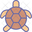 Slow Turtle Wildlife Icon
