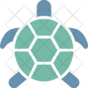 Slow Turtle Wildlife Icon