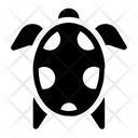 Turtle Sea Ocean Icon