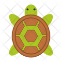 Turtle  Icon