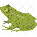 Turtle Animal Frog Icon