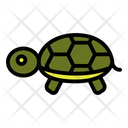 Tortoise Head Animal Icon