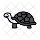 Turtle Creepy Slow Icon