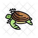 Turtle Plastic Net Icon