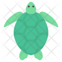Turtle Tortoise Sea Icon