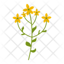 Wildflowers Flowers Plant Icon