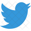 Twitter Social Network Icon