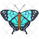 Ulysses Butterfly Icon