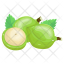 Unripe Coconuts Icon
