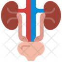 Urinary Icon