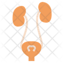 Urinary System Urination Icon