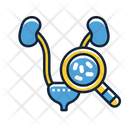 Urinary Tract Infection Icon