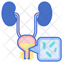 Urinary Tract Infection Female Bladder Full Icon