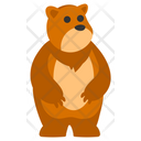 Urso Animal Fofo Ícone