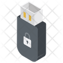 USB Lock Icon