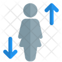 User Up Down  Icon