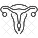 Uterus Vagina Womb Icon