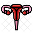 Female Reproductive Medical Icon