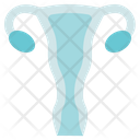 Organ Anatomy Uterus Gynecology Icon