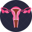 Human Anatomy Uterus Icon