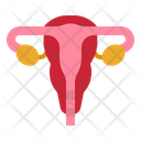 Uterus Icon