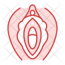 Vagina Organ Female Icon