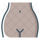 Vagina Female Pelvis Icon