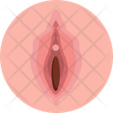 Human Anatomy Vagina Female Organ Icon