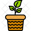 Vaso De Plantas Ícone