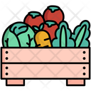 Vegetables Basket Icon