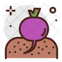 Veggies Icon