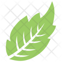 Veppilai Leaf Icon