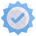Verification  Icon