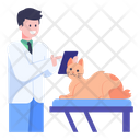 Veterinary Doctor Icon