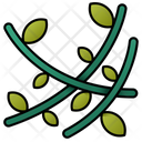 Vines Nature Vine Icon
