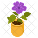 Violet Houseplant Icon