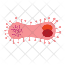 Infusorium Microbe Cell Icon