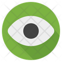 Visibility Eye View Icon