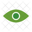 Vision Eyesight Eyeball Icon