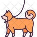 Dog Walking Pet Icon